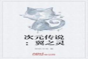 次元传说：翼之灵