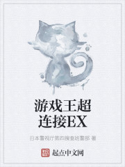 游戏王超连接EX