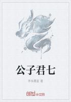 公子君七